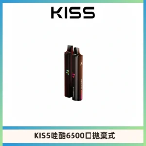 KIS5WAGOO哇酷6500口拋棄式 | 自由混搭雙口味 | 雙芯組合